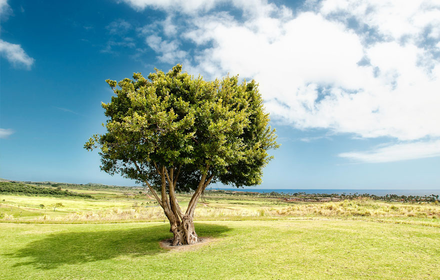 97���ʡ�(�й���)���Źٷ���վ